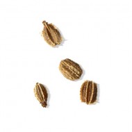 Carrot Seed (Daucus Carota)
