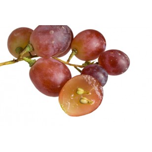 Grapeseed