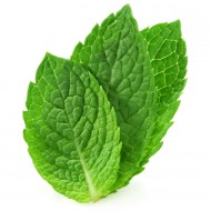 Peppermint (Mentha Piperita)