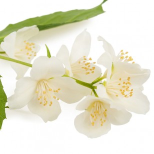 Neroli Flower (Citrus Aurantium)
