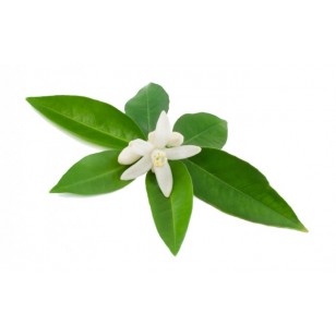 Neroli 5%