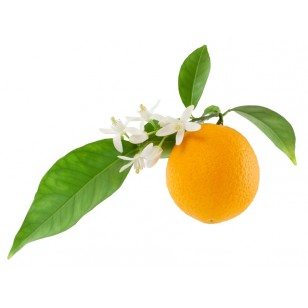 Neroli (Citrus Aurantium)