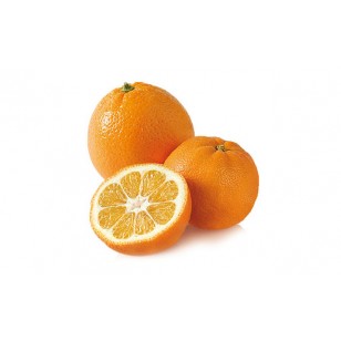 Orange Bitter (Citrus Aurantium)