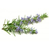 Rosemary Floral Water