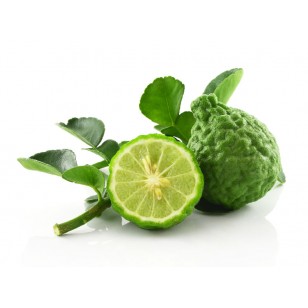 Bergamot (Citrus Bergamia)