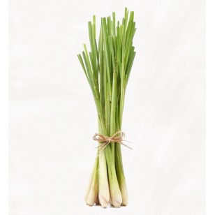 Lemongrass (Cymbopogon Citratus)