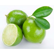 Lime (Citrus Aurantifolia)